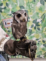 アニタッチアクアシティお台場に投稿された画像(2025/10/20)