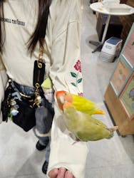 アニタッチアクアシティお台場に投稿された画像(2025/10/20)