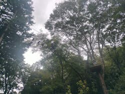 フォレストアドベンチャー・箱根に投稿された画像(2025/10/20)