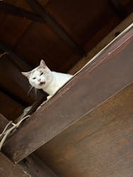 山寺焼 ながせ陶房に投稿された画像(2025/10/20)