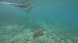 ON SHORE(オンショア)に投稿された画像(2025/10/22)