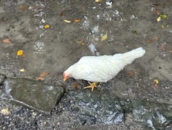 伊勢むすび工房に投稿された画像(2025/10/25)