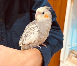 アニタッチららぽーと名古屋みなとアクルスに投稿された画像(2025/10/26)