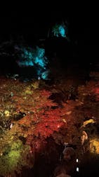 NAKED夜さんぽ™ 石川・那谷寺に投稿された画像(2025/10/26)