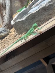 体感型動物園iZooに投稿された画像(2025/10/26)