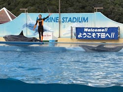 下田海中水族館に投稿された画像(2025/10/27)