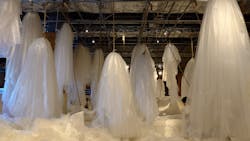 PLAY! PARKに投稿された画像(2025/10/28)