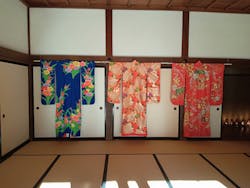 掛川城に投稿された画像(2025/10/28)