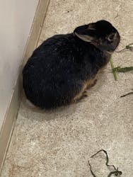 アニタッチららぽーと名古屋みなとアクルスに投稿された画像(2025/10/28)