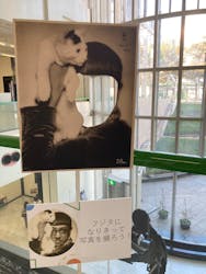 藤田嗣治 絵画と写真に投稿された画像(2025/10/30)