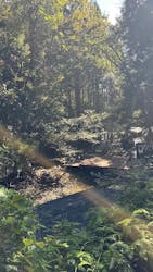 白瀧大明神奉賛会に投稿された画像(2025/10/31)