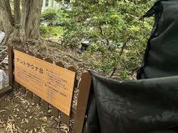 豊島園 庭の湯に投稿された画像(2025/11/1)