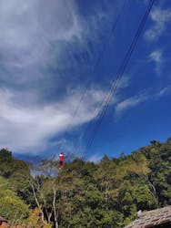 伊勢忍者キングダムに投稿された画像(2025/11/2)