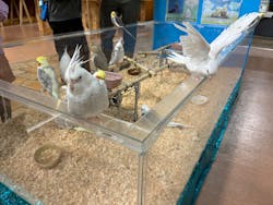 いきもの探検隊上尾に投稿された画像(2025/11/2)