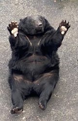 阿蘇カドリー・ドミニオンに投稿された画像(2025/11/2)