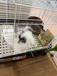 いきもの探検隊上尾に投稿された画像(2025/11/2)