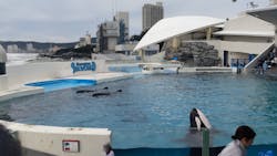 鴨川シーワールドに投稿された画像(2025/11/3)