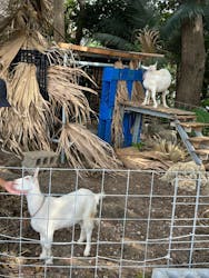 All Blue(オールブルー)に投稿された画像(2025/11/3)