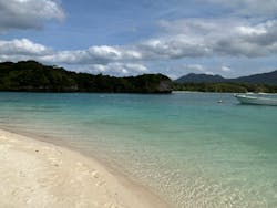 All Blue(オールブルー)に投稿された画像(2025/11/3)