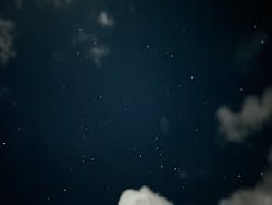 (株)美ら星アイランドに投稿された画像(2025/11/3)