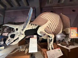 巨大恐竜展2025に投稿された画像(2025/11/3)