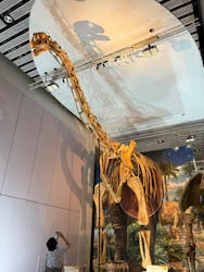 巨大恐竜展2025に投稿された画像(2025/11/3)