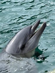 下田海中水族館に投稿された画像(2025/11/4)