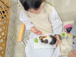 九州爬虫類フェス2025Autumnに投稿された画像(2025/11/5)