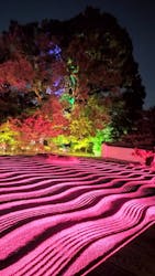 博多ライトアップウォーク実行委員会に投稿された画像(2025/11/5)