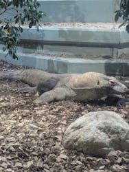 名古屋市東山動植物園に投稿された画像(2025/11/7)
