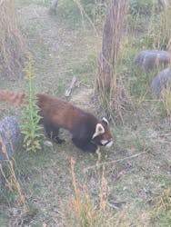 名古屋市東山動植物園に投稿された画像(2025/11/7)