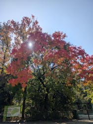 名古屋市東山動植物園に投稿された画像(2025/11/7)