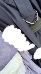 犬山日和に投稿された画像(2025/11/7)