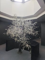 三田天然温泉 寿ノ湯に投稿された画像(2025/11/7)