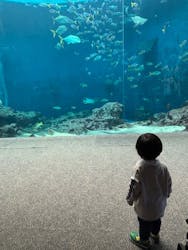 鴨川シーワールドに投稿された画像(2025/11/8)