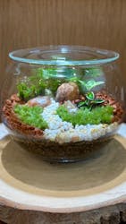 Terrariums 渋谷ヒカリエ店に投稿された画像(2025/11/8)