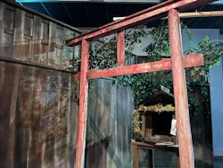 新潟県立自然科学館に投稿された画像(2025/11/9)