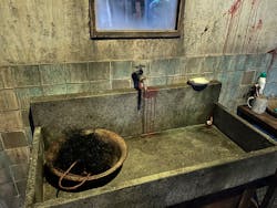 新潟県立自然科学館に投稿された画像(2025/11/9)