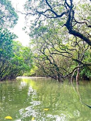 マングローブ茶屋に投稿された画像(2025/11/9)