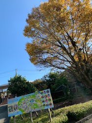 阿蘇カドリー・ドミニオンに投稿された画像(2025/11/10)