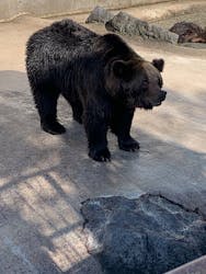 阿蘇カドリー・ドミニオンに投稿された画像(2025/11/10)