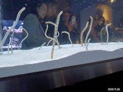 すみだ水族館に投稿された画像(2025/11/10)