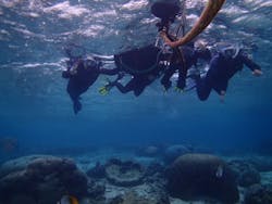 沖縄ネイチャーコーディネート・アンダゴに投稿された画像(2025/11/11)