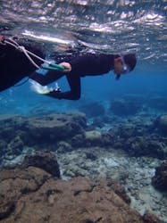 沖縄ネイチャーコーディネート・アンダゴに投稿された画像(2025/11/11)