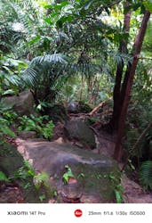 西表島カヌーツーリングあたらすに投稿された画像(2025/11/11)