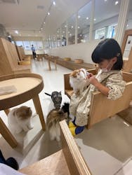 Cat Café MOFF つかしん店に投稿された画像(2025/11/12)
