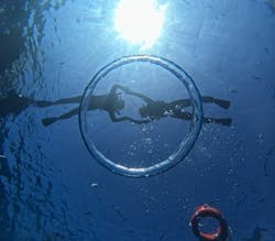 Sea World(シーワールド)に投稿された画像(2025/11/12)