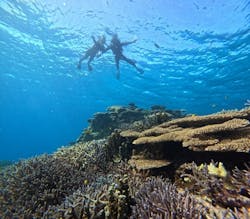 Sea World(シーワールド)に投稿された画像(2025/11/12)