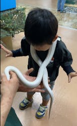 いきもの探検隊上尾に投稿された画像(2025/11/15)