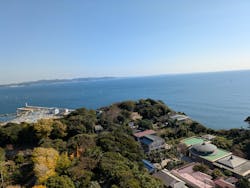 江の島シーキャンドル×新江ノ島水族館に投稿された画像(2025/11/15)